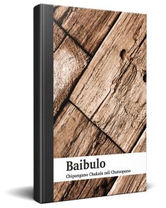 Chichewa Bible – Softcover