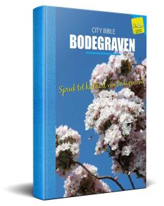 Bodegraven