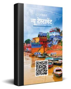 Hindi New Testament Bible