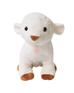 Kulumi Sheep