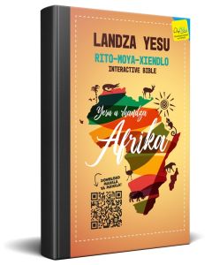 Tsonga Follow Jesus Interactive City Bible New Testament