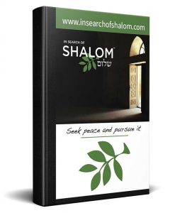 Engels In Search of Shalom Nieuwe Testament Bijbel