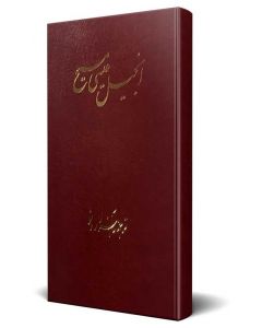 Farsi New Testament Bible