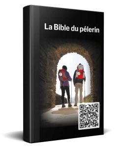 French Pelgrim Bible New Testament