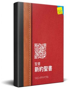 Japanese Red Traditional New Testament Bible