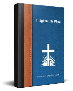 Frans Afrika Nieuwe Testament Bijbel