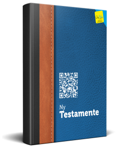 Norwegian New Testament