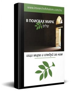 Russisch In Search of Shalom Nieuwe Testament Bijbel 