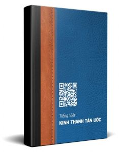 Vietnamese Interactive City Bible New Testament