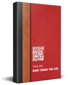 Vietnamees Rood Traditioneel Nieuwe Testament Bible